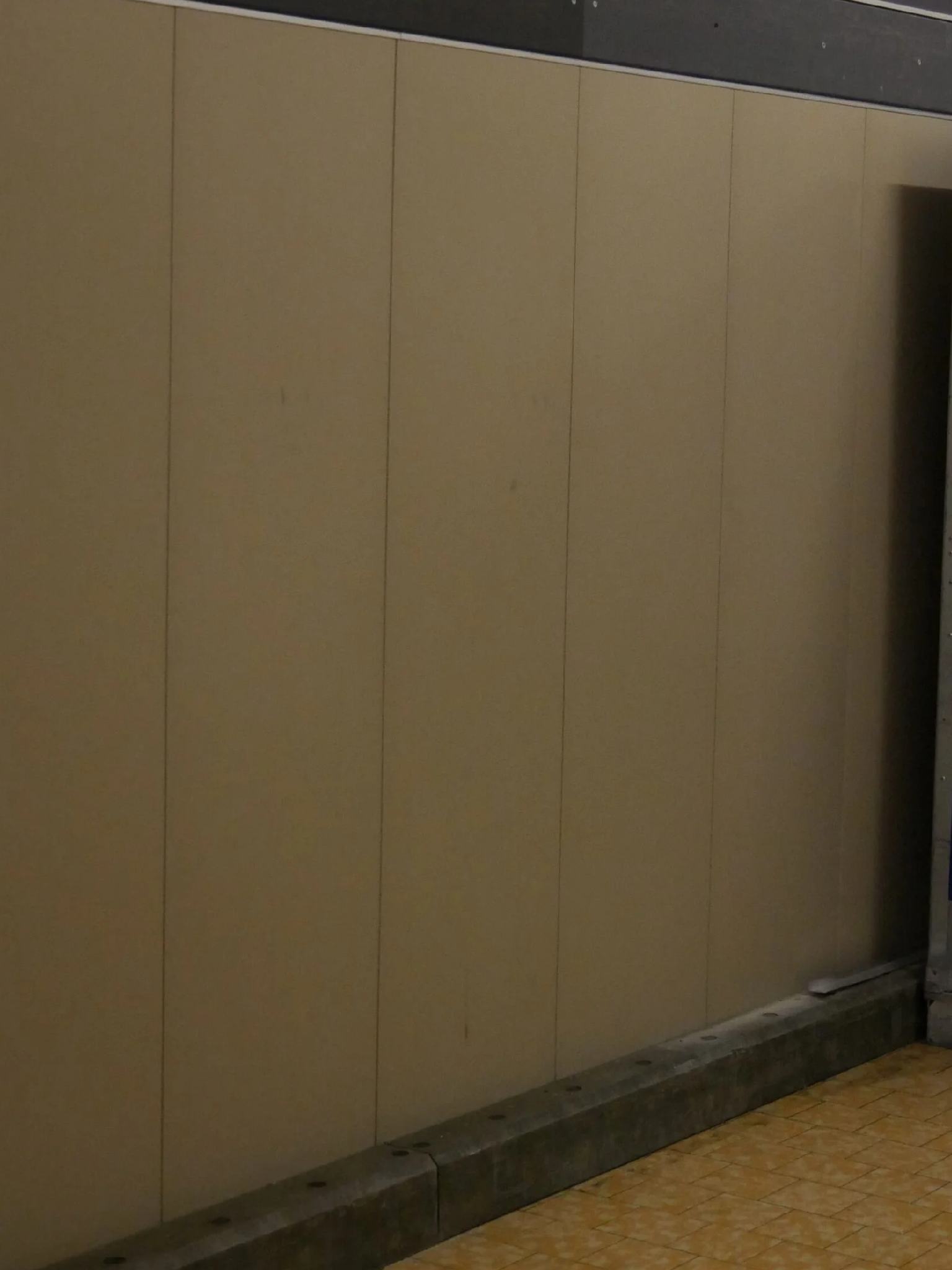 Tera Protect Wandplatte – robuste Wandschutzplatte aus Recycling-PET mit Hohlkammerprofil